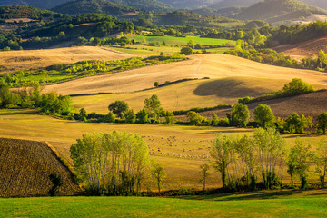 Fototapeta na wymiar Stunning beautiful landscape view of Tuscany fields at Barberino di Mugello in the Italian region Tuscany in summer