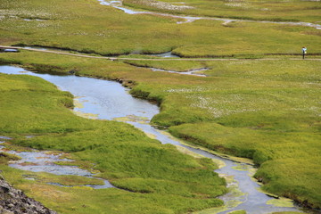 Backwaters in Landmanalaggur