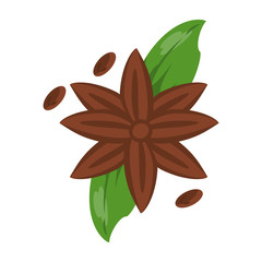 anise star seed icon image vector illustration design 