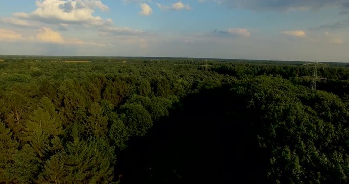 Cinematic drone shot flying over a big forest in the Netherlands