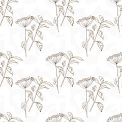 Vector floral seamless pattern with wild meadow  herbs . Thin delicate line silhouettes in small bouquets on geometric background.