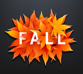 Fall sale. Realistic autumn maple leaves with text. Momiji. Vector illustration.