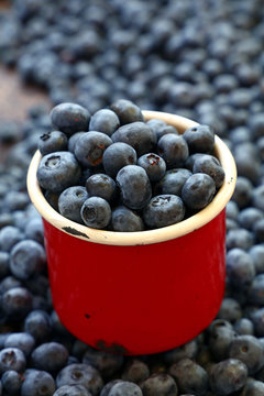 Fresh ripe blueberry in red mug close up