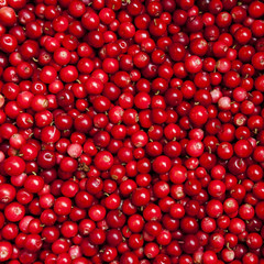 square. cranberries