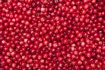 background of the cranberries