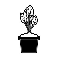 plant in pot icon image vector illustration design  black and white