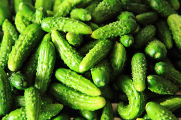 green cucumbers as nice food background