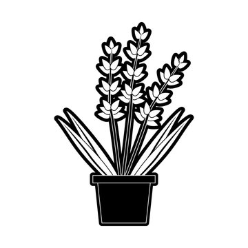 plant in pot icon image vector illustration design  black and white