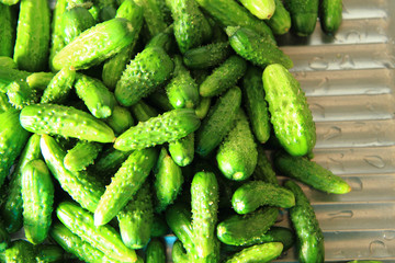 green cucumbers as nice food background