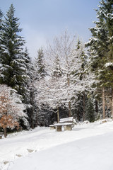 Winter landscape in Bavaria