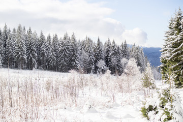 Winter landscape in Bavaria