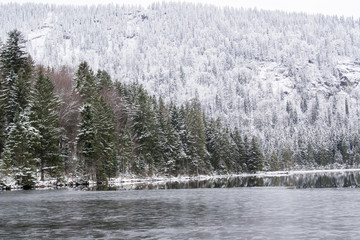 Winter landscape in Bavaria, Arbersee