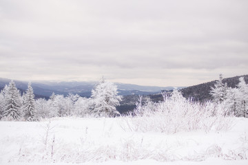 Winter landscape in Bavaria