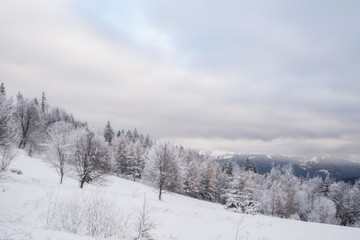 Fototapeta na wymiar Winter landscape in Bavaria