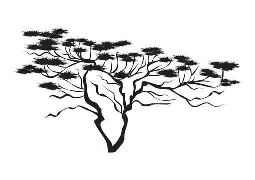 Saxaul - desert tree - isolated on white background - art creative modern vector