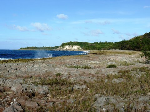 L'Anse Colas en Guadeloupe c&ocirc;t&eacute; Grande Terre.