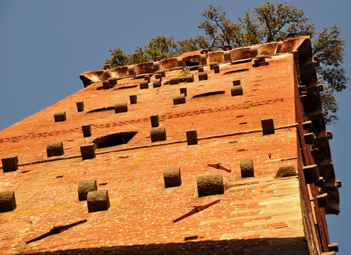Mittelalterlicher Torre Guinigi mit Eichenb&auml;umen auf der Spitze