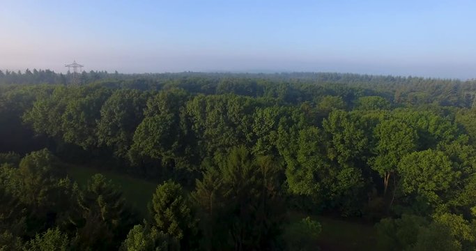 Cinematic smooth drone shot of a green forest in sunny weather