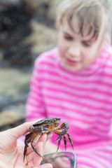 Young Girl Looking At Crab Found In Rockpool On Beach