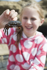 Young Girl Holding Crab Found In Rockpool On Beach