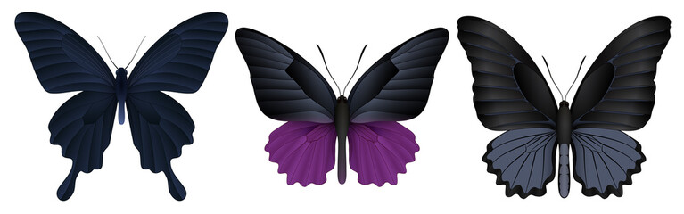 Set of colorful realistic butterflies