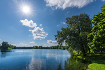Lake in a natural park with trees growing on the banks