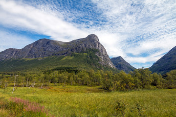 Obraz na płótnie Canvas Panorama of summer landscape in Norway - river, stones, mountings