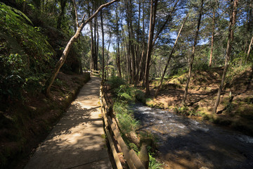 hiking path through the popular Arvi park in the proximity of Medellin Colombia