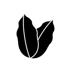 leaves eco symbol icon vector illustration graphic design