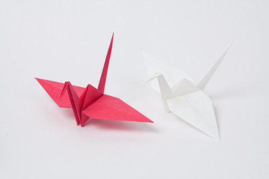 Origami, Paper Bird