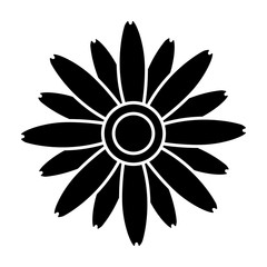 Beautiful decorative flowers icon vector illustration graphic design