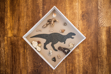 Handmade wall decoration for boy`s kids room. Flat Dinosaur Tyrannosaurus Rex surrounded by stones, seashells and sea wood in the white frame box on wooden background.