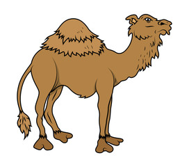 Cartoon Camel Indian style