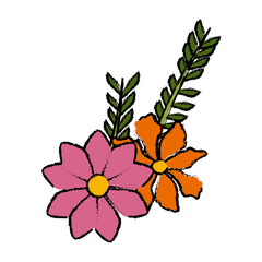 Beautiful decorative flowers icon vector illustration graphic design