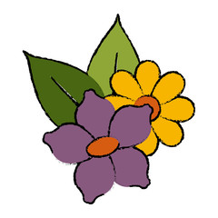 Beautiful decorative flowers icon vector illustration graphic design