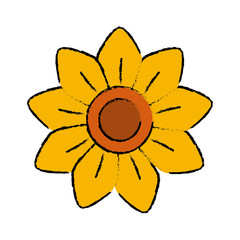 Beautiful decorative flowers icon vector illustration graphic design