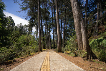 Arvi park in the proximity of Medellin is a popular tourist destination on the weekends