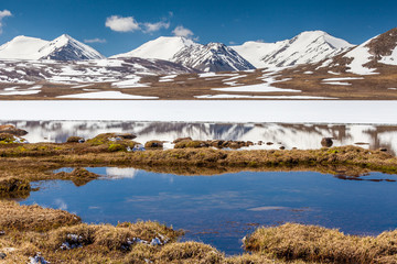 Barskoon (Arabel) Syrts at Issyk Kul Region