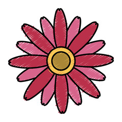 Beautiful decorative flowers icon vector illustration graphic design