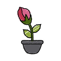 Flower in vase icon vector illustration graphic design