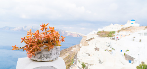 Pot with a cactus on the veranda. Oia Santorini Island