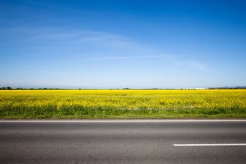 Foto op Canvas Asphalt road among the summer field © Nickolay Khoroshkov