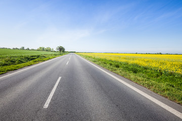 Asphalt road among the summer field