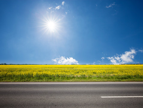 Fototapeta Asphalt road among the summer sunny field