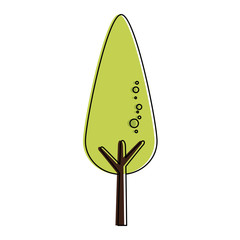 tree plant isolated icon vector illustration design