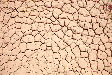 cracked earth