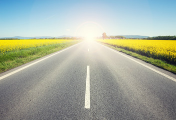 Asphalt road among the summer field