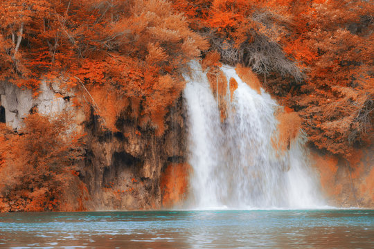 Fototapeta Beautiful fall colors forest waterfall and lake