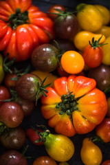 Fototapeta na wymiar Close view on farm fresh tomatoes