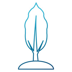 Tree nature symbol icon vector illustration graphic design